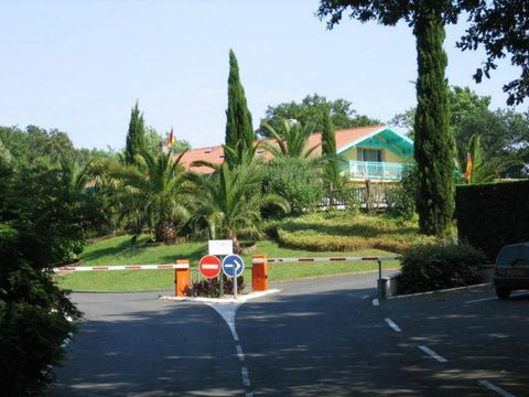 Camping Lou P'tit Poun  - Camping Landes - Image N°32