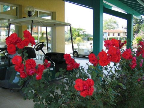 Camping Lou P'tit Poun  - Camping Landes - Image N°20