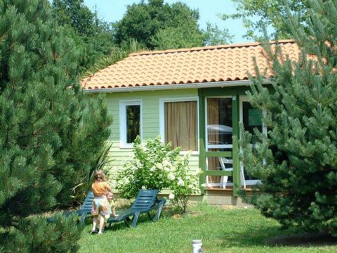 Camping Lou P'tit Poun  - Camping Landes - Image N°33