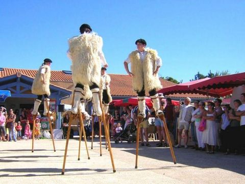 Camping Lou P'tit Poun  - Camping Landes - Image N°23