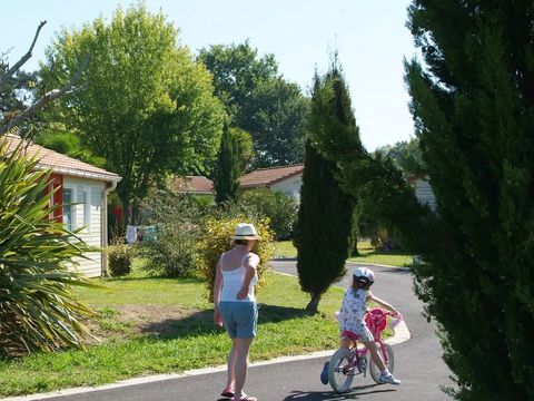 Camping Lou P'tit Poun  - Camping Landes - Image N°37