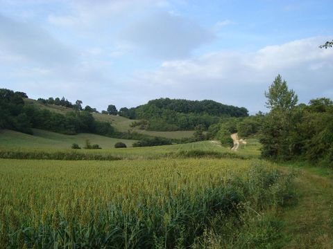 Château Le Haget - Camping Gers - Image N°25