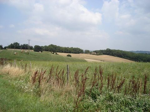 Château Le Haget - Camping Gers - Image N°26