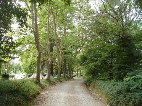 Château Le Haget - Camping Gers - Image N°22