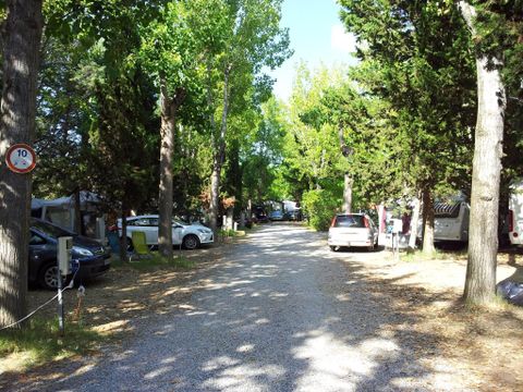 Emplacement - Confort : forfait 1 à 2 pers. - électricité 10 A -1 voiture, 1 empl, (4 adultes max)- Accès aire de vidange