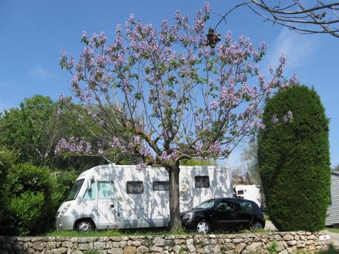 Camping La Paoute - Camping Alpes-Maritimes - Image N°7