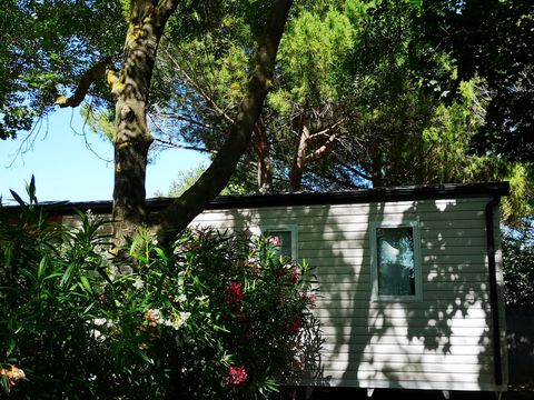 MOBILHOME 6 personnes - Premium + TV + Climatisation