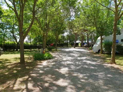 Flower Camping Le Fou du Roi - Camping Hérault - Image N°20