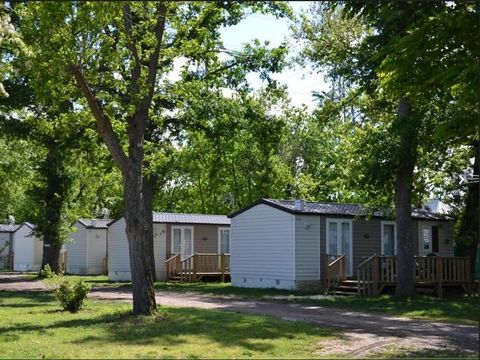 Camping Le Rupe - Camping Haute-Garonne - Image N°3