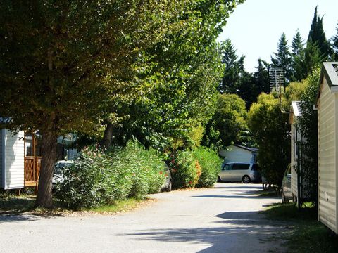 Camping Le Mas de L'isle - Camping Hérault - Image N°13