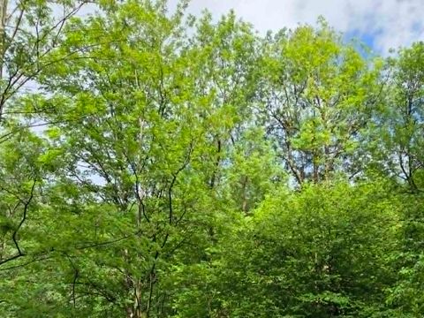 HÉBERGEMENT INSOLITE 2 personnes - Cabane du pêcheur