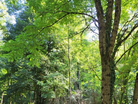 Camping Le Bois Flottant - Camping Tarn - Image N°12