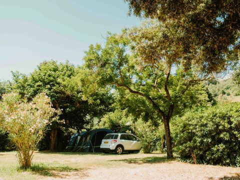 Routes du Monde - Camping Val Fleuri - Camping Alpes-Maritimes - Image N°5