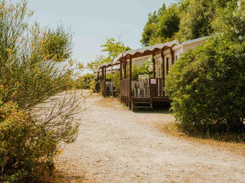 Routes du Monde - Camping Val Fleuri - Camping Alpes-Maritimes - Image N°4