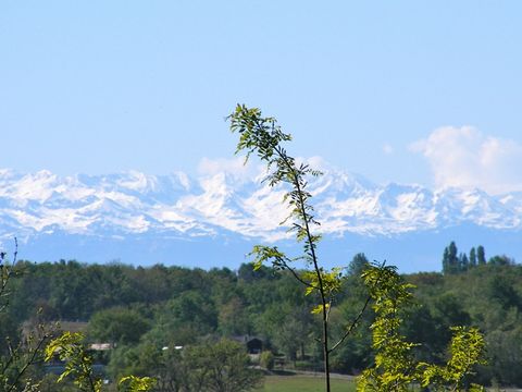 Le Domaine du Castex - Camping Gers - Image N°37
