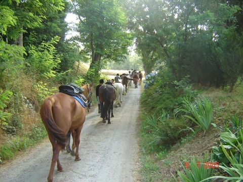 Le Domaine du Castex - Camping Gers - Image N°24