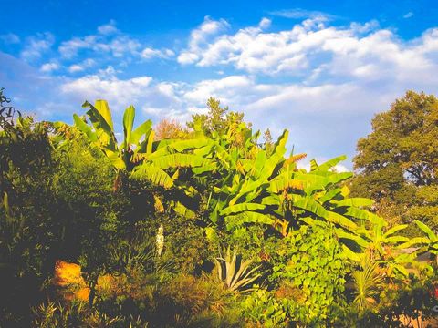 Le Domaine du Castex - Camping Gers - Image N°35