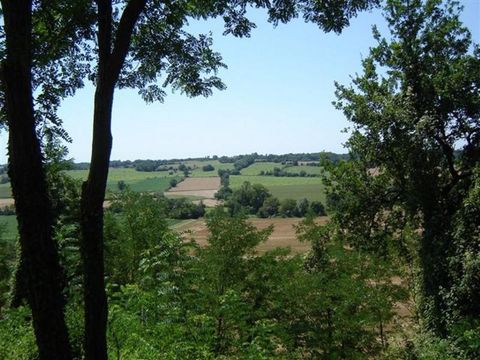 Le Domaine du Castex - Camping Gers - Image N°4