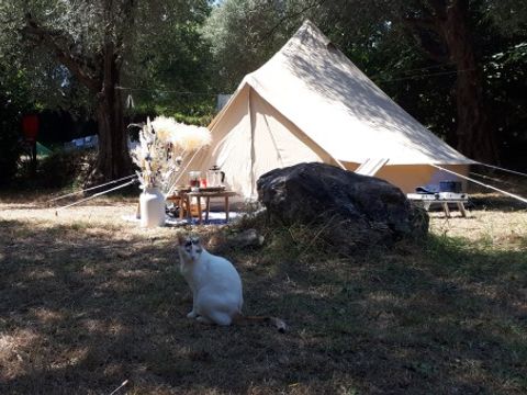 Camping La Camassade - Camping Alpes-Maritimes - Image N°7