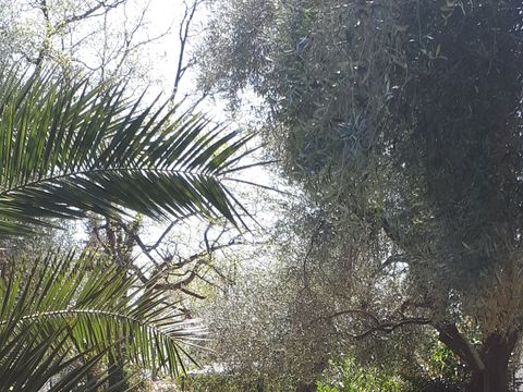 Camping La Camassade - Camping Alpes-Maritimes - Image N°5