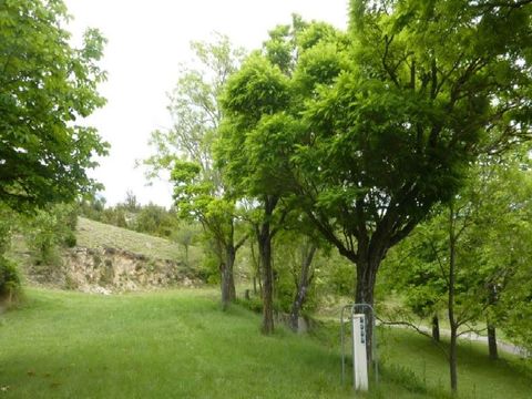 Camping Humawaka - Camping Var - Image N°8
