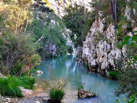 Camping Humawaka - Camping Var - Image N°13