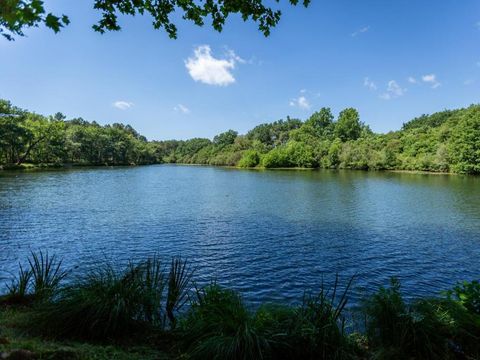 Camping L'Etang d'Ardy - Camping Landes - Image N°33