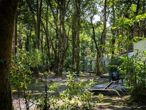 Camping L'Etang d'Ardy - Camping Landes - Image N°29
