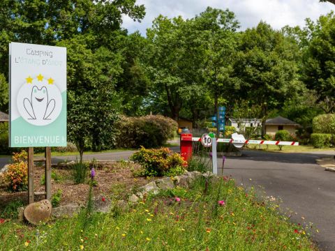 Camping L'Etang d'Ardy - Camping Landes - Image N°11