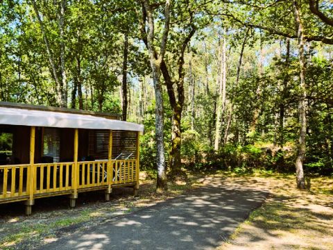 MOBILHOME 4 personnes - Mobil-Home Premium 3 Pièces 4 Personnes + TV