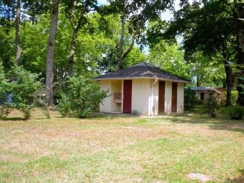 Camping L'Etang d'Ardy - Camping Landes - Image N°45