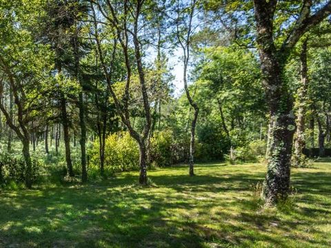 Camping L'Etang d'Ardy - Camping Landes - Image N°28