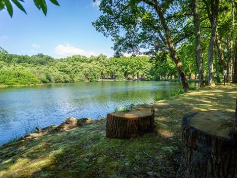 Camping L'Etang d'Ardy - Camping Landes - Image N°20