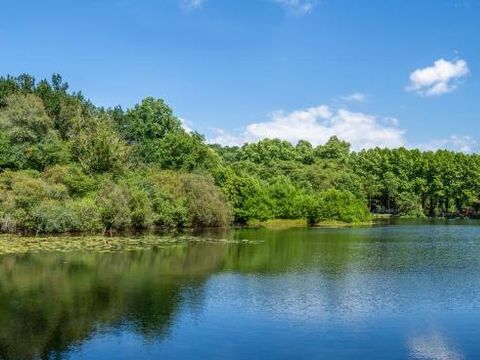 Camping L'Etang d'Ardy - Camping Landes - Image N°34