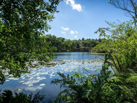 Camping L'Etang d'Ardy - Camping Landes - Image N°22