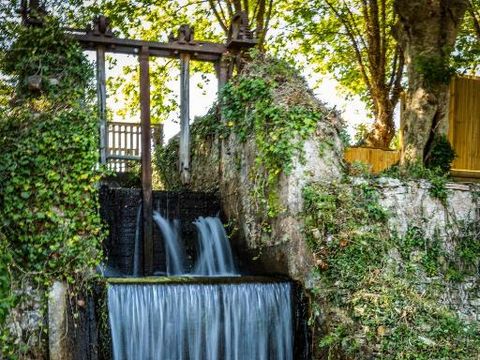 Camping L'Etang d'Ardy - Camping Landes - Image N°35