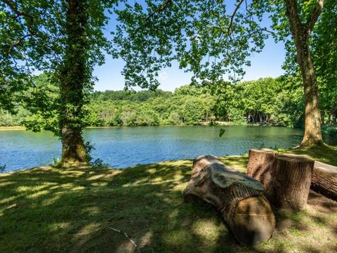 Camping L'Etang d'Ardy - Camping Landes - Image N°5