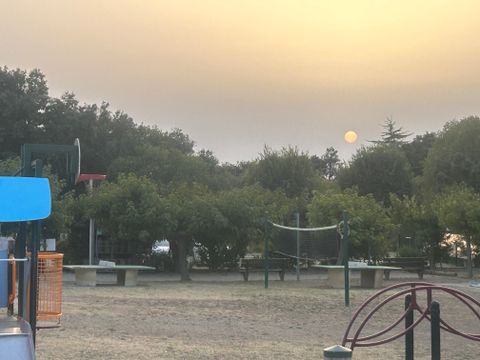 Camping Les chênes - Camping Gard - Image N°17