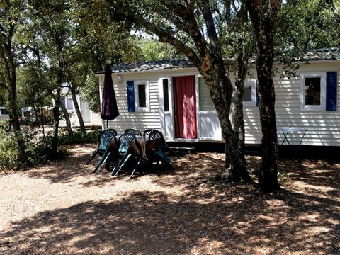 Mobilhome 4 personnes - Confort Climatisation Réversible - Terrasse - 2 chambres - 24m² / Palmier et Olivier