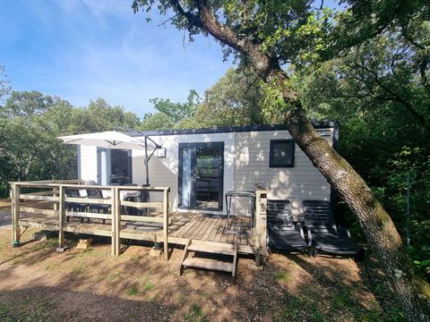 MOBILHOME 4 personnes - MOBIL HOME Premium Climatisé - TV - Lave vaisselle - 2 ch - 32.80m²/ Amandier