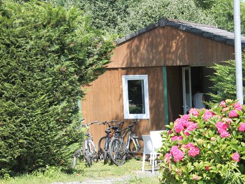 Camping-Base de Loisirs "La Forêt" Tarn - Camping Tarn - Image N°11