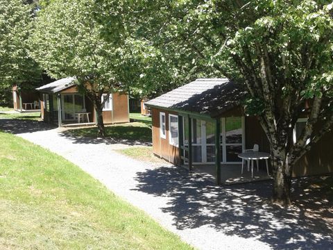 Camping Municipal La Forêt - Camping Tarn - Image N°4