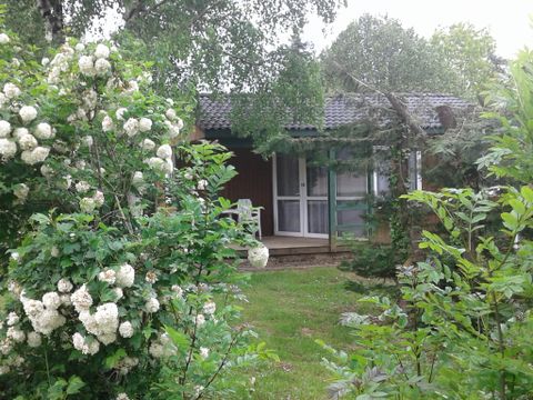 Camping Municipal La Forêt - Camping Tarn - Image N°8
