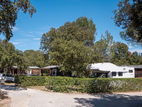 Camping du Domaine de Massereau - Camping Gard - Image N°38