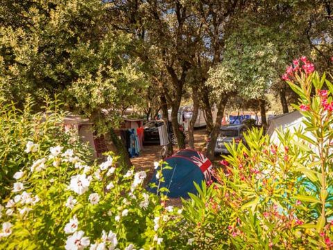 Camping le Domaine de Gajan - Camping Hérault - Image N°19