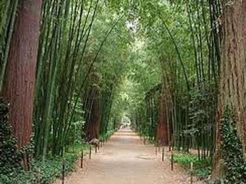 Camping le Domaine de Gajan - Camping Hérault - Image N°45