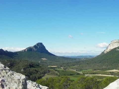 Camping le Domaine de Gajan - Camping Hérault - Image N°46