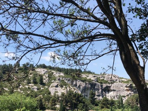 Camping Saint Gabriel - Camping Bouches-du-Rhône - Image N°17