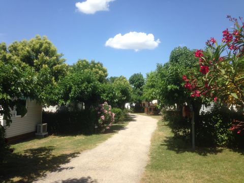 Camping Saint Gabriel - Camping Bouches-du-Rhône - Image N°34