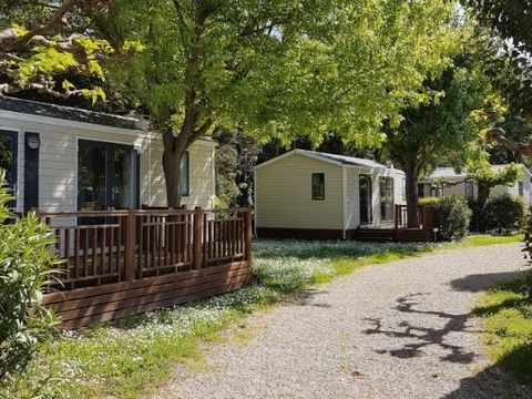 Camping Saint Gabriel - Camping Bouches-du-Rhône - Image N°15
